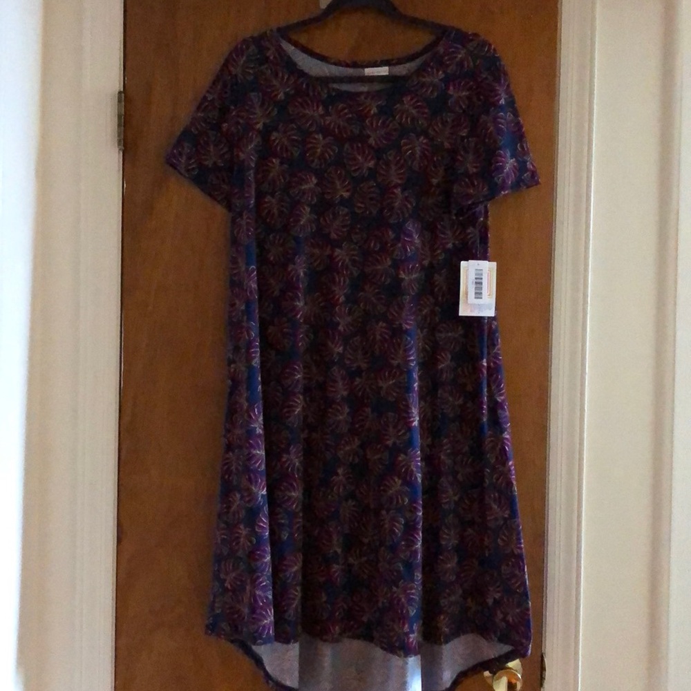 Lularoe Carly dress